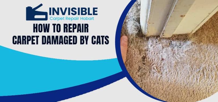 Repair Carpet Damaged By Cats
